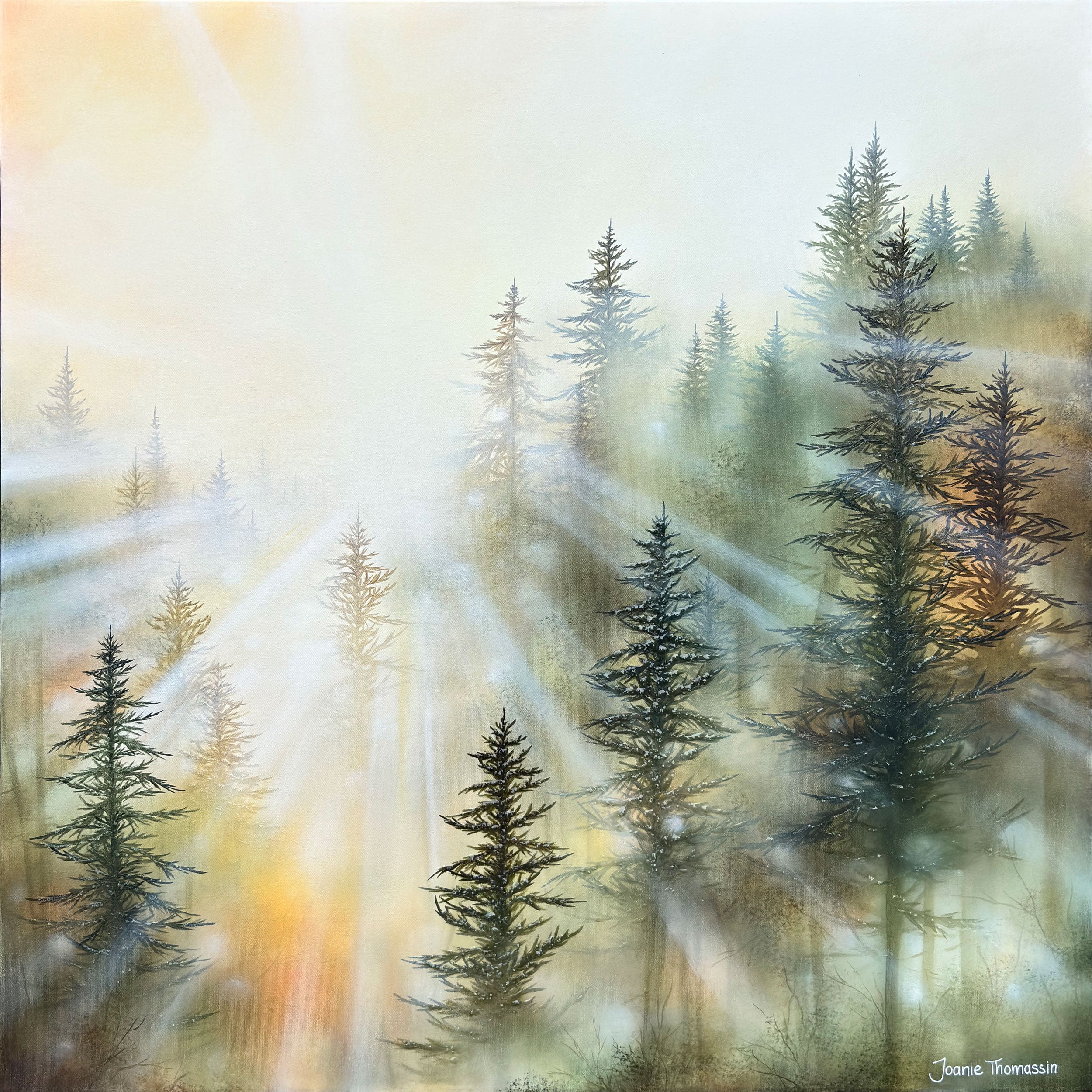 Briller de tous ses éclats, 36x36