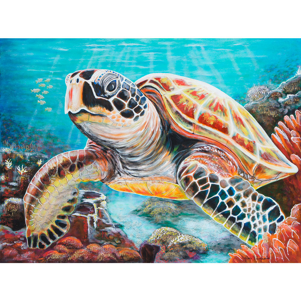 Douceur de la mer, 30x40