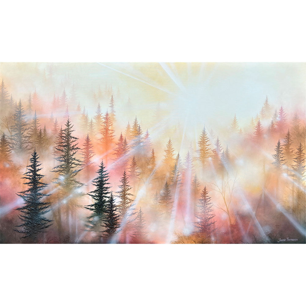 La caresse de la lumière, 36x60