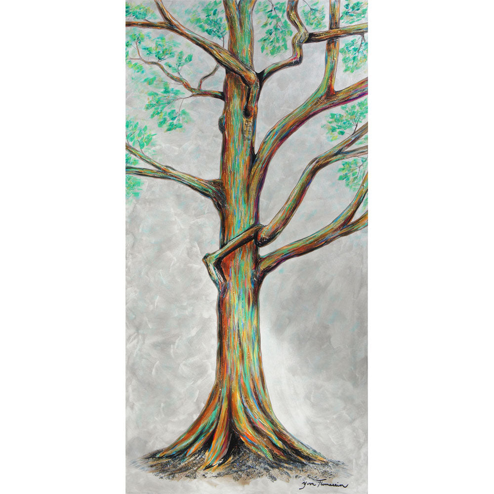 Eucalyptus arc-en-ciel, 48x24